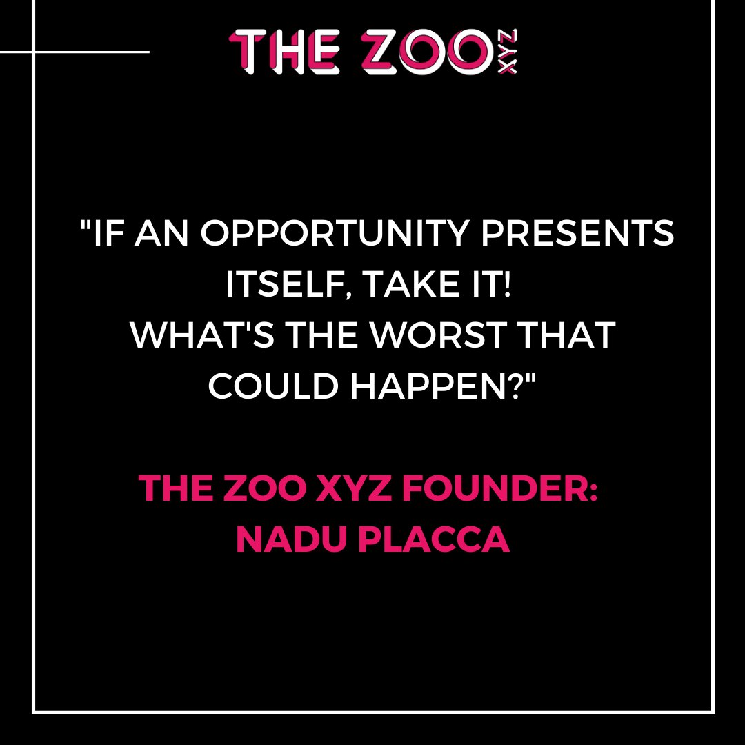 The Zoo XYZ tweet media
