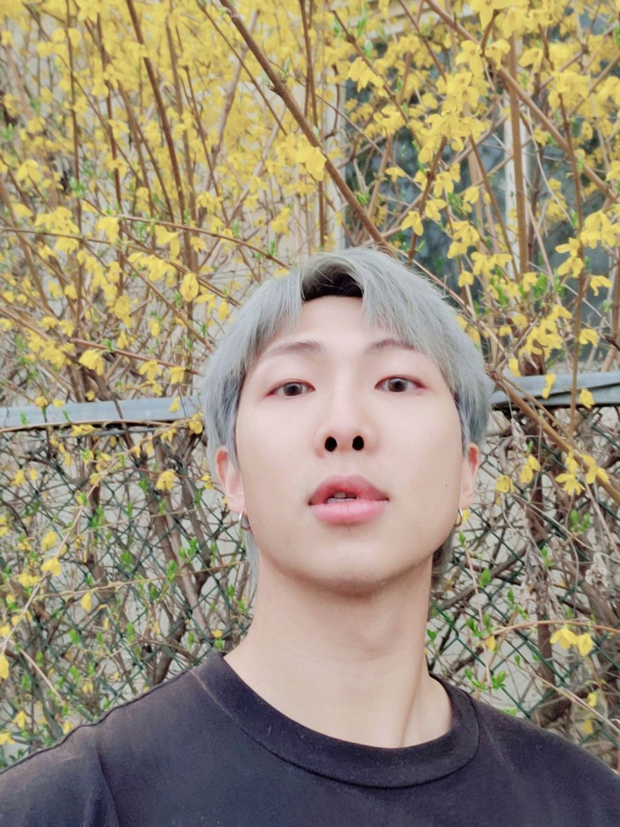 How to make your twitter namjooning themed  | | a healing thread