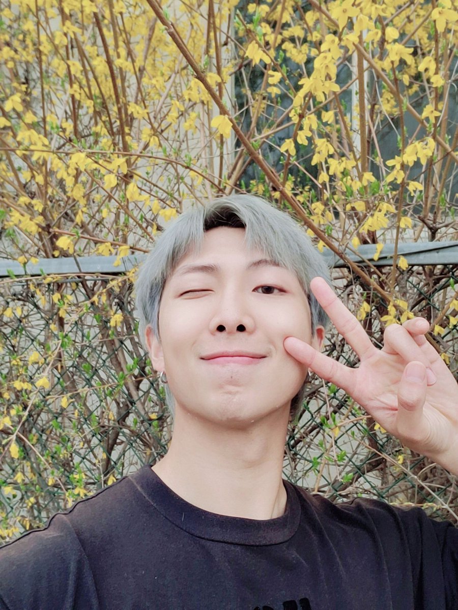 How to make your twitter namjooning themed  | | a healing thread