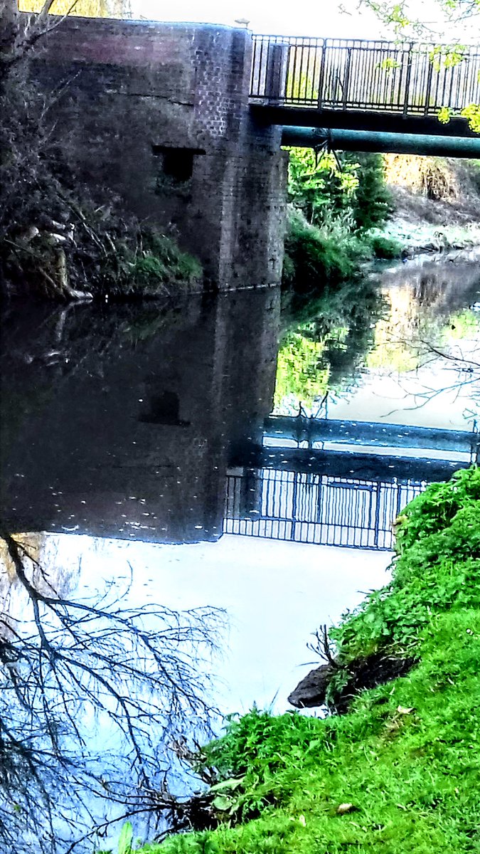 RMFrancis's tweet photo. Morning #peregrinations listening to the waterbirds of #Buckpool and #Fenspool https://t.co/6iJBVqSpzX