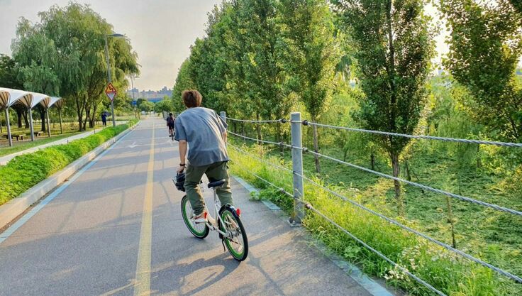 🍃