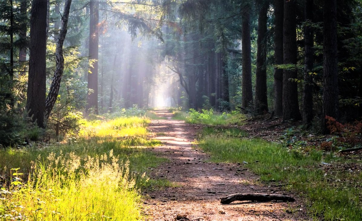 fieggentrio's tweet photo. Merselo https://t.co/ME05v5BvoL

Merselo is een dorp in de gemeente #Venray, provincie #Limburg. 
Het dorp is gelegen aan de rand van natuurgebied de #Peel en op ongeveer 10 km van de Maas. 

5 foto's.

#Merselo #travel #tourism #dorp #village #Nederland #Netherlands https://t.co/YNXRw1LJ5h