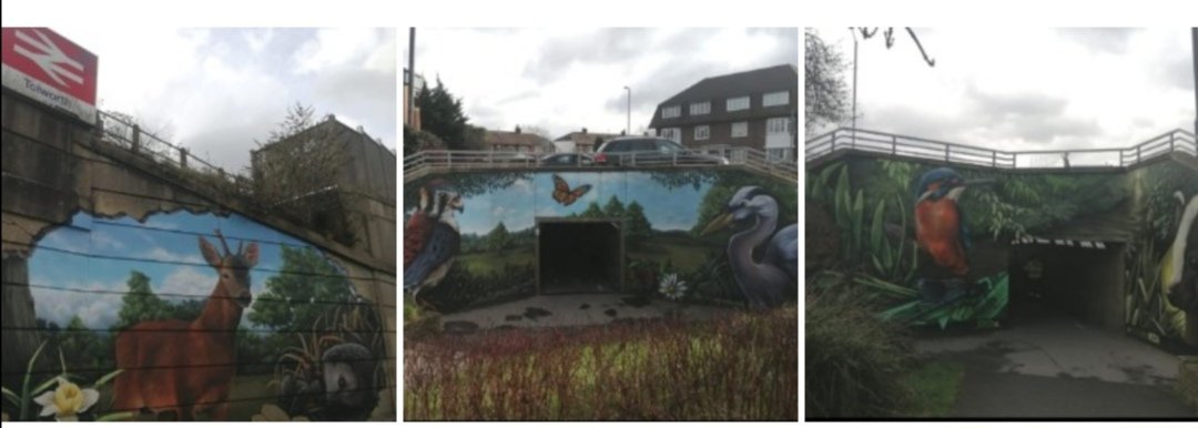 <a href="/CarlBovisNature/">Carl Bovis</a> A beautiful effort to brighten up a bit of South West London suburbia by <a href="/communitybrain/">The Community Brain</a> <a href="/SHEDx_org/">SHEDx  Growing Ideas</a>