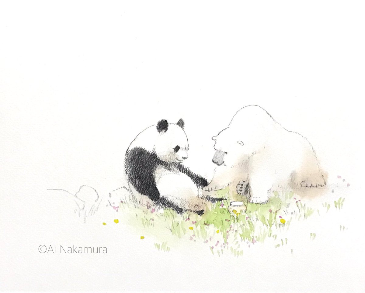 中村 愛 Shirokuma Ai Twitter 中村 愛 Shirokuma Ai Twitter