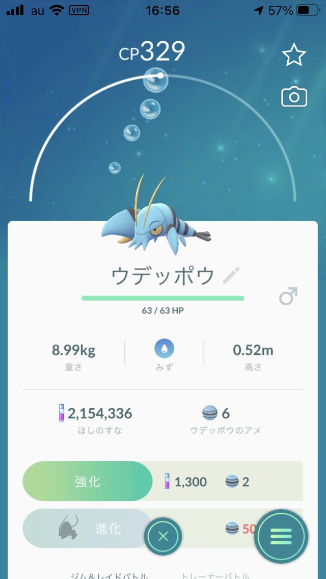 ウデッポウ