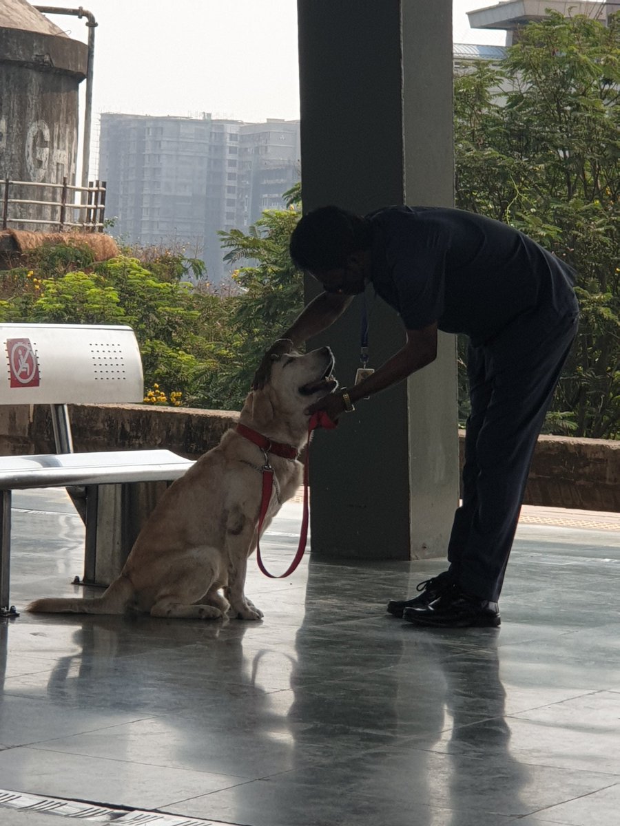 prianca1127's tweet photo. @MumMetro  
Mumbai metro taking care of us during lockdown be like.... https://t.co/wQNjKmGaPg