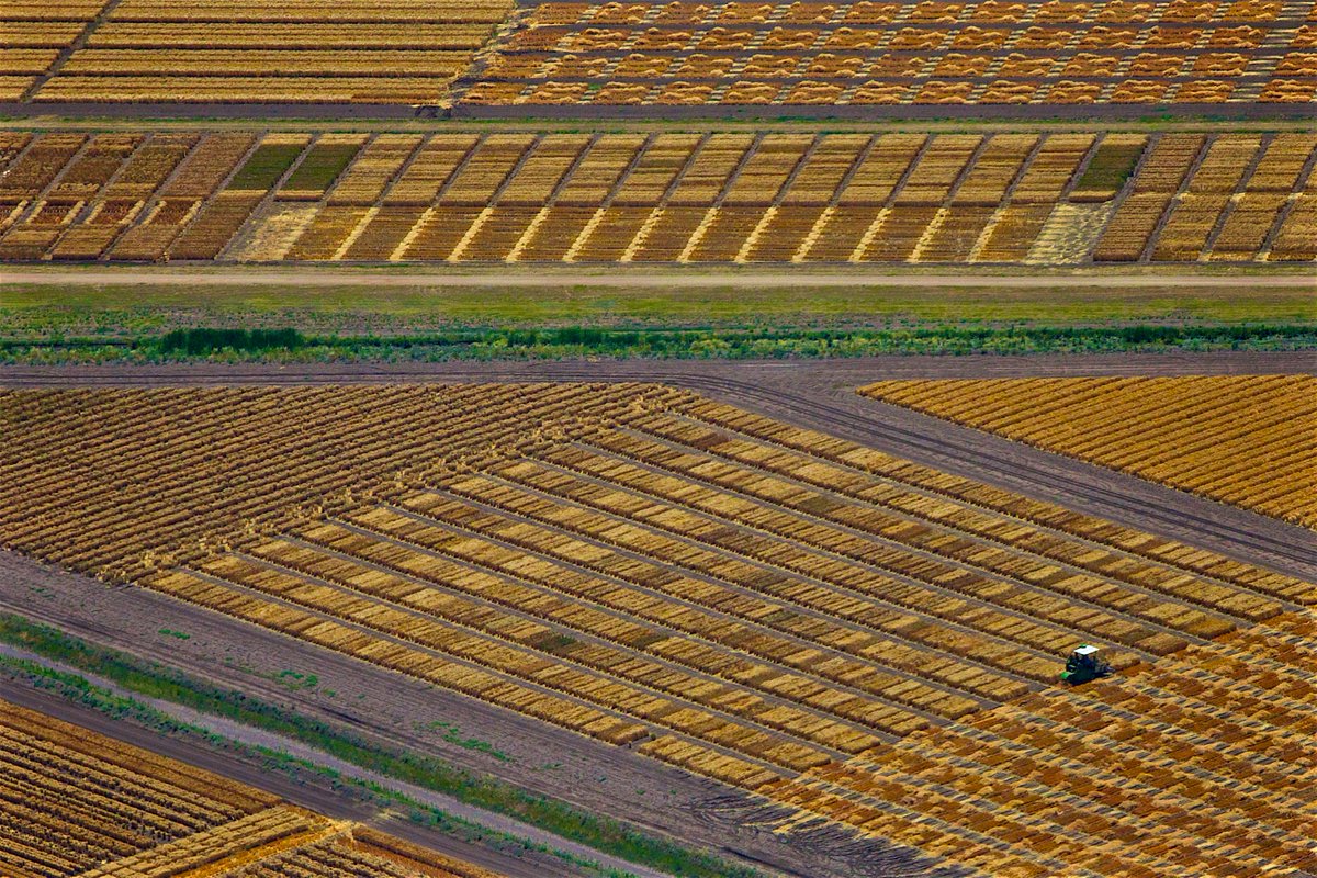 Looking for a career advancement or wanting to start your career in research agronomy? A great opportunity is now available with our Narrabri team.  Go to our website to find out more: kalyx.com.au/careers/