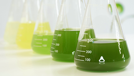 saravio_jp's tweet image. 『温泉微生物「RG92」がコロナ感染53％抑制』

#温泉 微生物を使った #美容・#健康 事業を中心に
日本の誇る“温泉”の素晴らしい力を世界に広めるべく、

2010年の研究所設立に続き、
2014年には「RG培養管理センター」を設立。

#RG92 #コロナ対策 
#コロナに負けるな