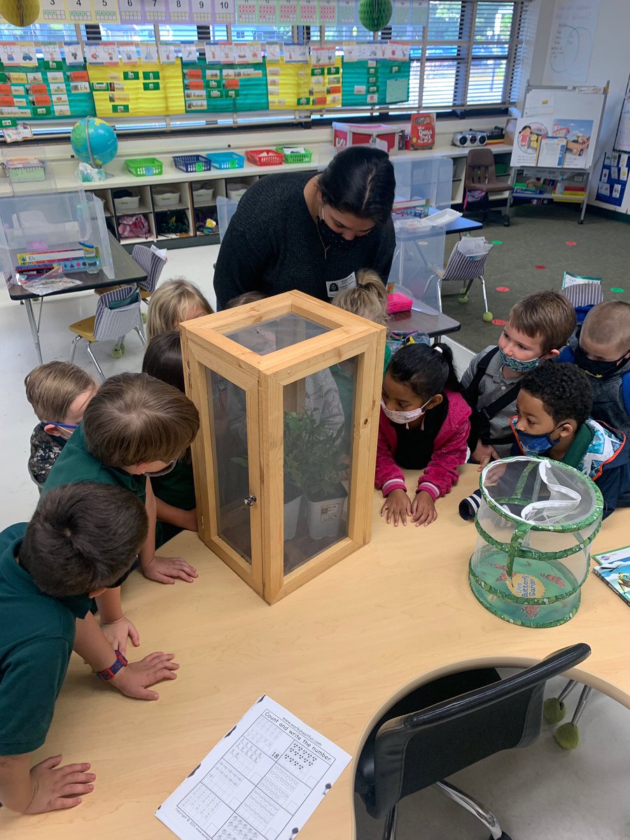 LDS (@schultz_teal) on Twitter photo Ms. Bella surprises Mrs. Grounds’ class with a butterfly garden! Bella attended SME as an elementary student and is wrapping up her senior year as an intern there! #FullCircle #ScienceIsAlive #TEALIntern <a href="/FfeaHigh/">Atlantic High FFEA</a> <a href="/SharksAHS/">Atlantic High School</a> <a href="/DawnAlves/">Dawn Alves</a> <a href="/sugarmillpride/">Sugar Mill</a> Ms. Bella surprises Mrs. Grounds’ class with a butterfly garden! Bella attended SME as an elementary student and is wrapping up her senior year as an intern there! #FullCircle #ScienceIsAlive #TEALIntern <a href="/FfeaHigh/">Atlantic High FFEA</a> <a href="/SharksAHS/">Atlantic High School</a> <a href="/DawnAlves/">Dawn Alves</a> <a href="/sugarmillpride/">Sugar Mill</a>