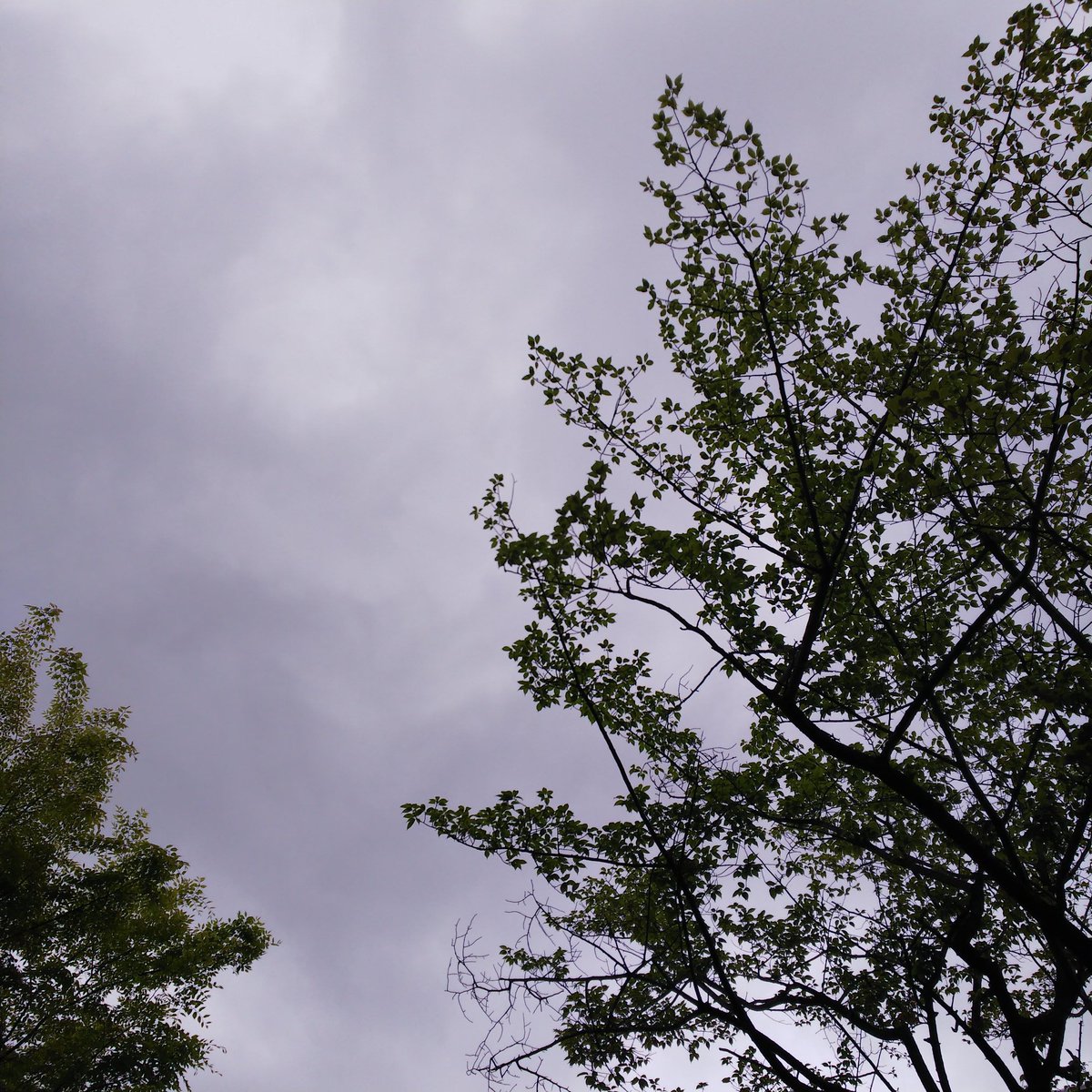 DPY_290629's tweet photo. 今にも降り出しそう。。。🌧
元気で充実した時間を過ごせていますように💙
#DAPUMP
#FTPFINAL
#聴きながらお買い物🚘
#今日も大好き💙
#YORI サン https://t.co/g1OqfZQCFx