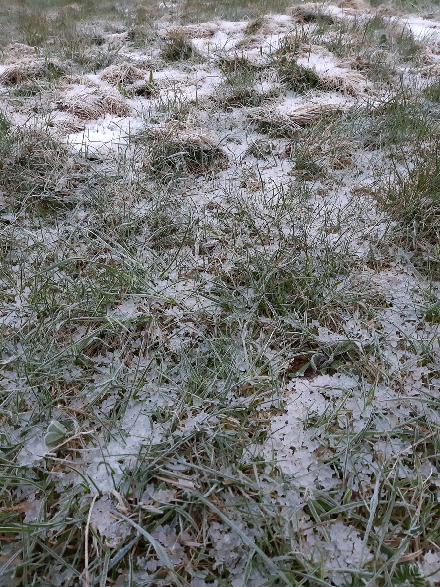 Still cold but not too cold for a nice morning jog. 🏃🏻‍♀️Great possibility to start in a new day full of virtual classrooms and living what I'm teaching: Every movement counts!
#StayHealthy #homeoffice #bewegung #morningrun