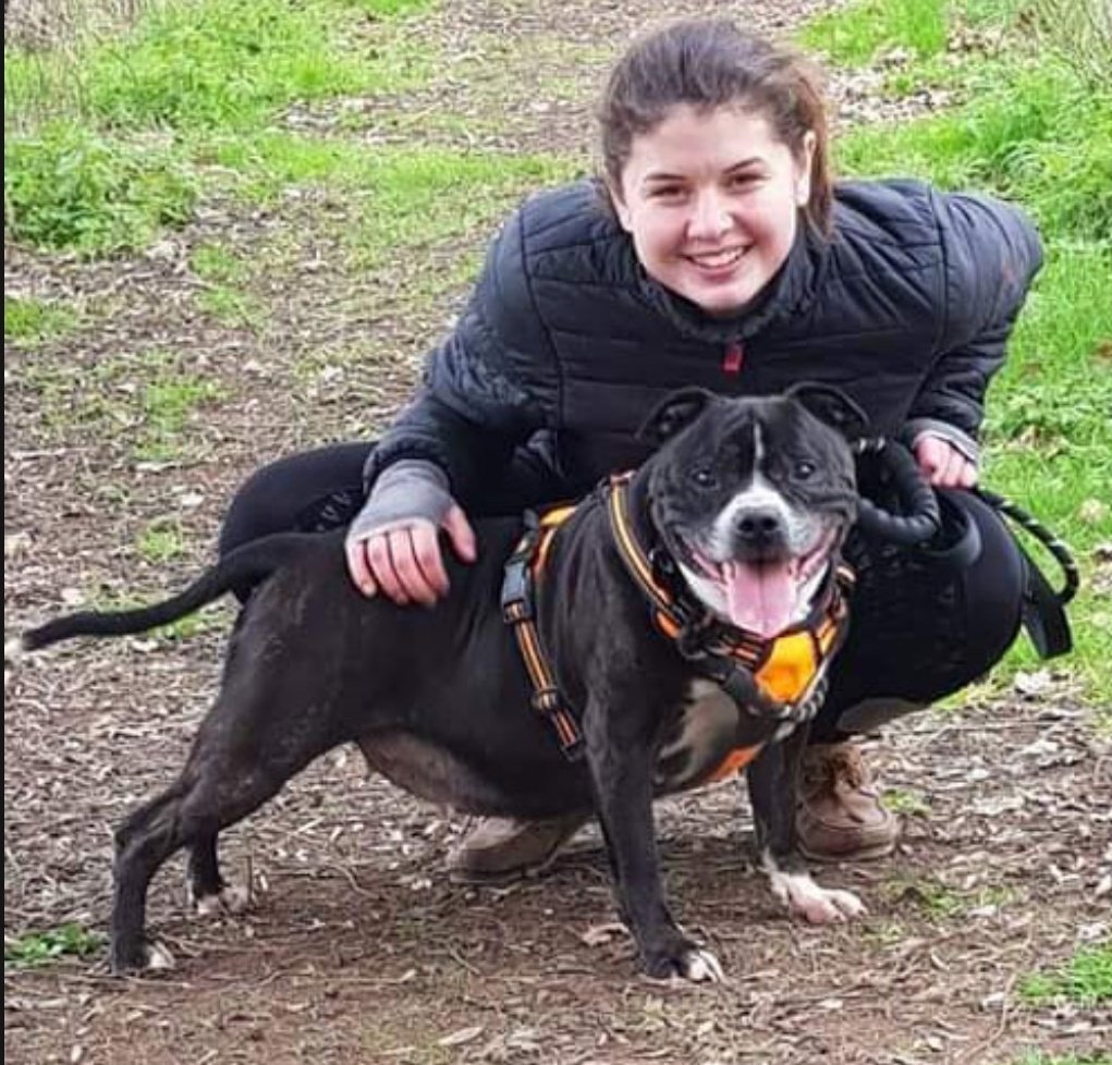 SeniorStaffy's tweet photo. Here is Fionas personal link so you can find out more about this gorgeous girl 👇👇👇👇 https://t.co/vMA5NeXX5S
Applications are now open and her pawfect furever home must be found 🏡😍❤️
Please RT to help get her noticed?
Thank you!
#seniorstaffy #TeamZay #Rescue #AdoptDontShop https://t.co/svr0yLeEGm