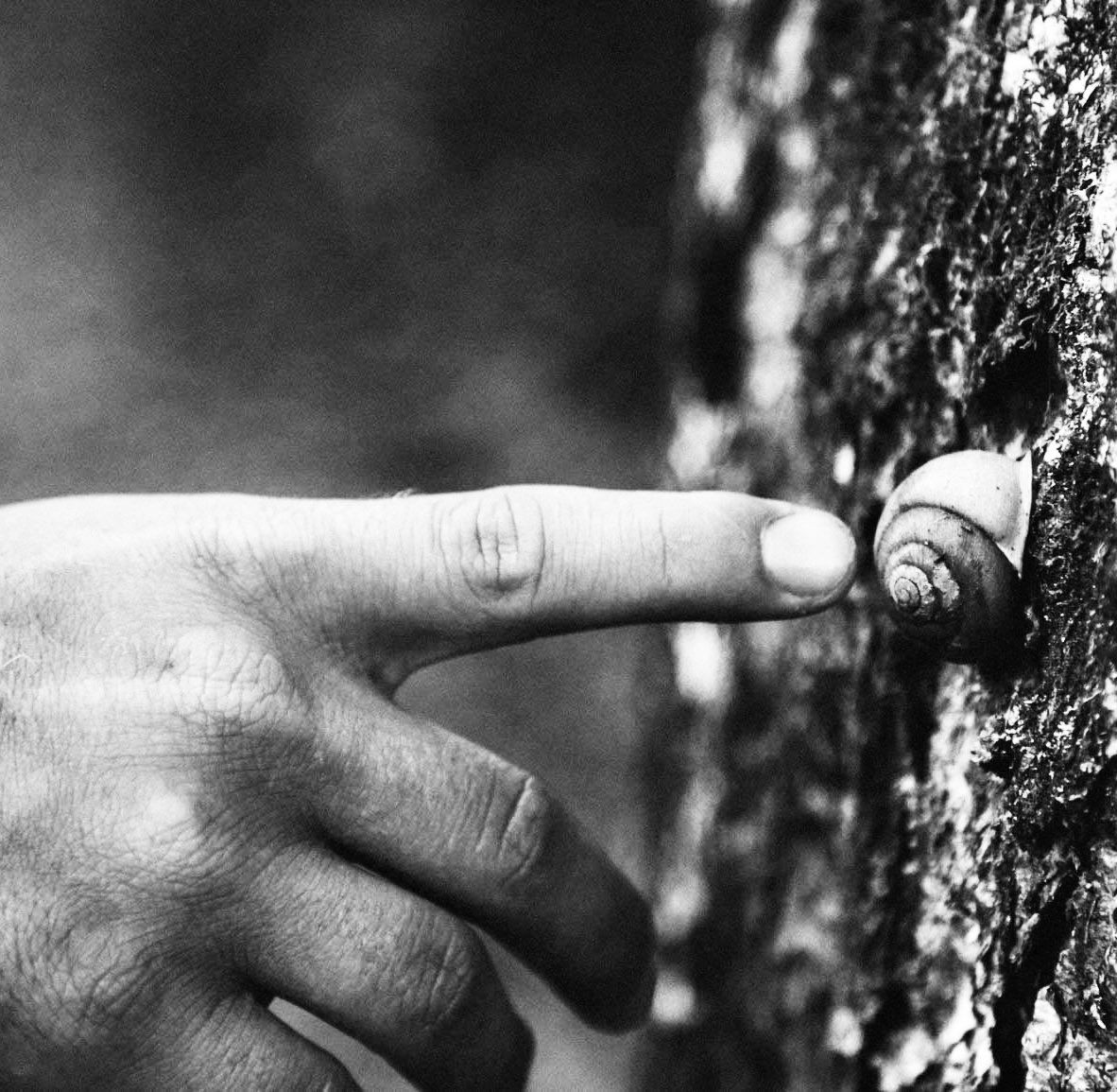 Non guardare al passato con rabbia o al futuro con ansia, ma guardati intorno #conAttenzione. 😊

James Grover Thurber