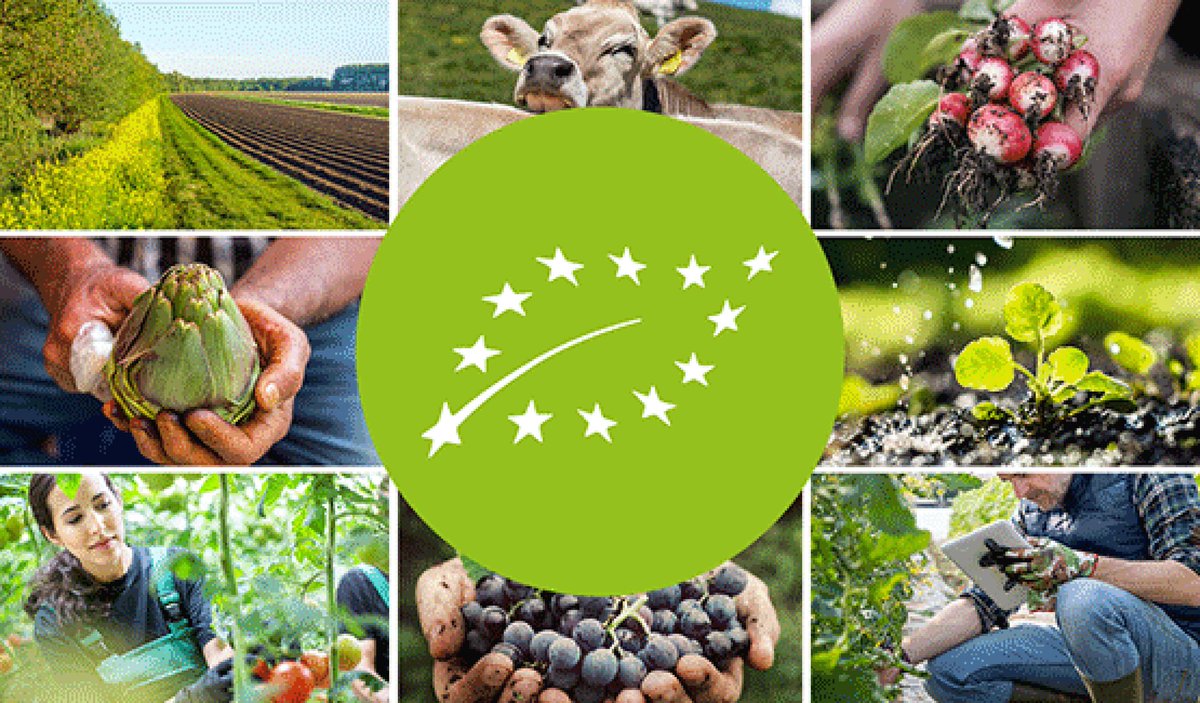 Podcast #Food4EU käsittelee viidessä ensimmäisessä jaksossa Eurooppalaista luomua ec.europa.eu/info/food-farm… #organicfarming #luomu