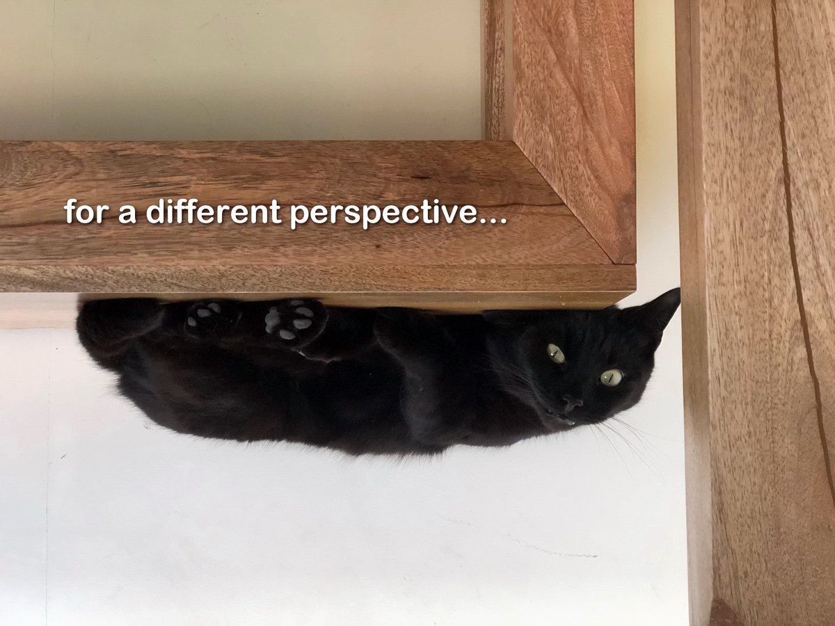 homeopathical tweet media