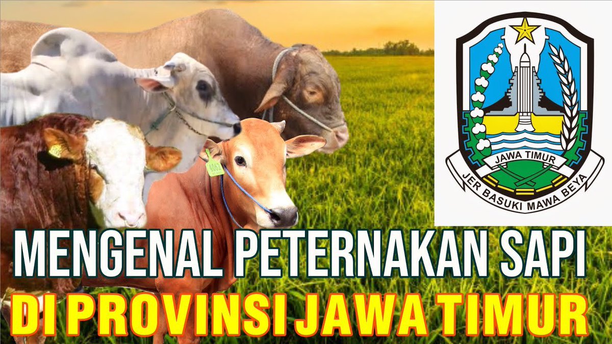 sapibagus_com's tweet photo. Peternakan Sapi Di Provinsi Jawa Timur
•
Selengkapnya tersedia di website sapibagus di link berikut https://t.co/l0zNgbu3kr
Dan vidionya bisa dilihat di link berikut https://t.co/ADTOYx7lWb
•
Whatsapp : https://t.co/MwkyfGc78k​
•
#peternakansapi #jawatimur #sapijawa https://t.co/aGAJkwF3lg
