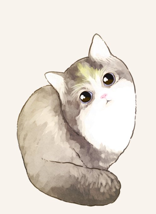 ねこ 
