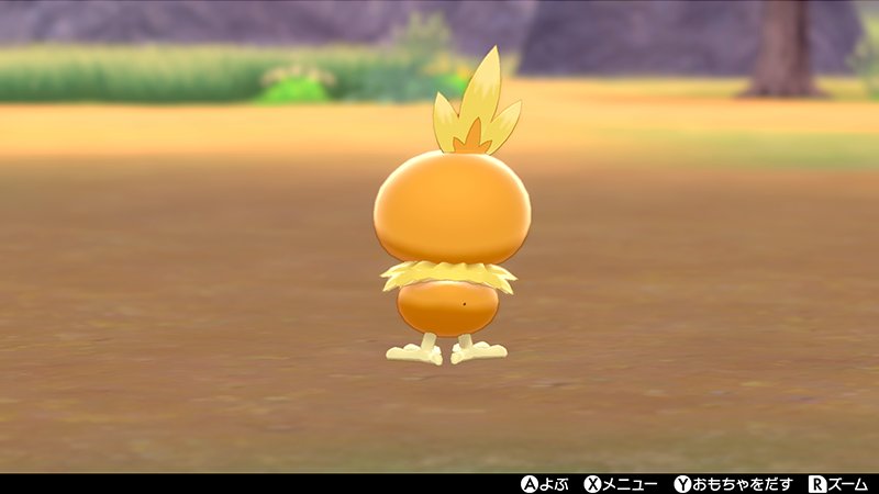 pokexperto's tweet photo. La cuenta oficial de Pokémon de Japón nos recuerda la pequeña diferencia que existe entre Torchic macho y hembra 🔍🔍 https://t.co/shWVEeR97C