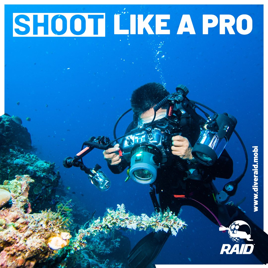 Get the best out of your camera kit! Click and shoot over to page 68 of the latest Edge newsletter!    diveraiduk.com/edge
Got a great underwater pic to share with us, old or new? Just tag us on Instagram with #diveraid so we can have a look!