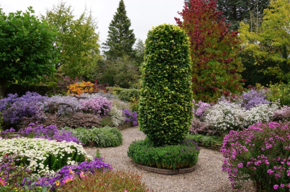 If you've not been yet, The Picton Garden, Colwall is open again on Monday 19th April from 11-5. More info and pre-booking can be found here ngs.org.uk/view-garden/43…