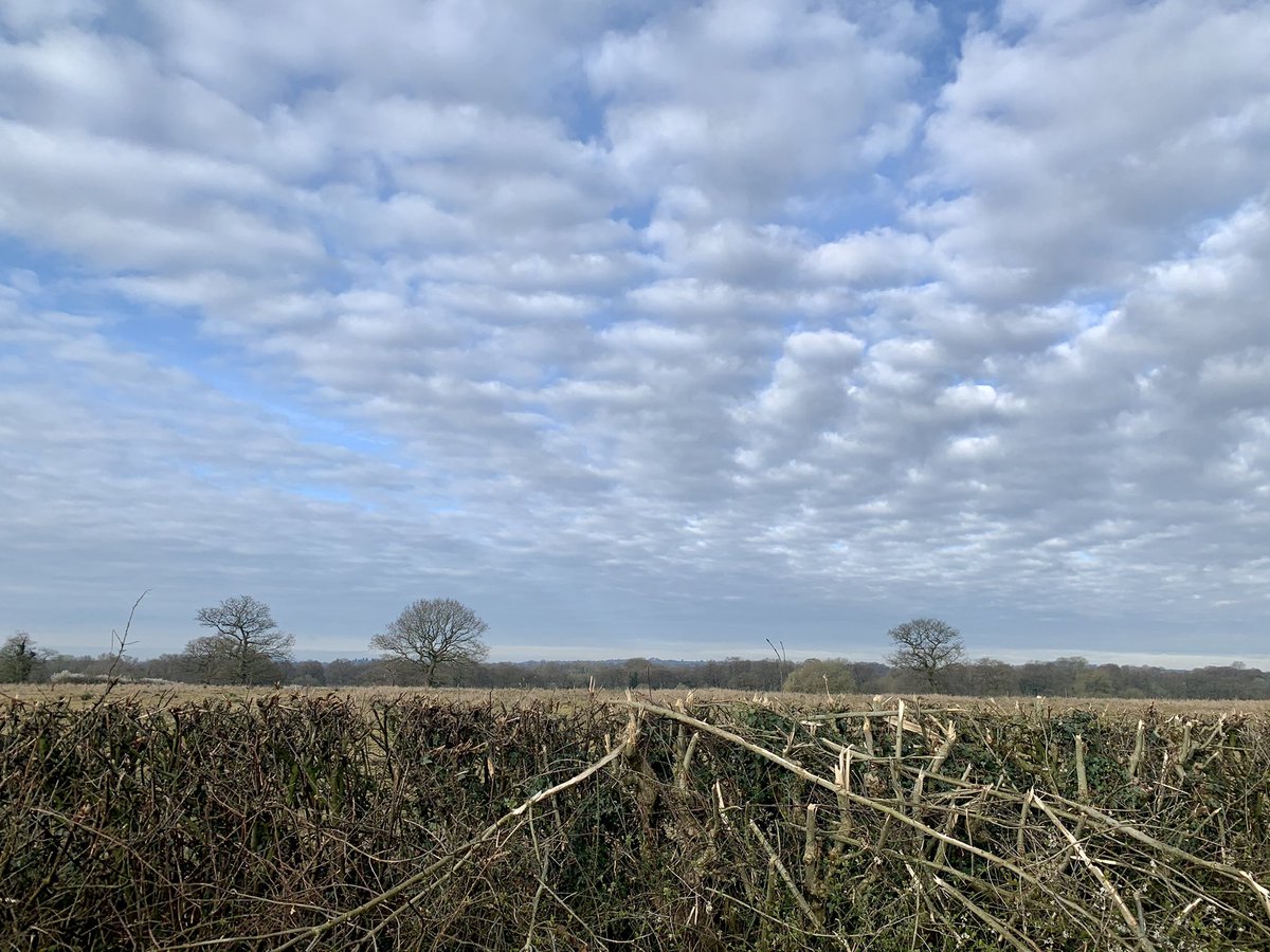 AnneBoydUK's tweet image. Make the most of your #Commutetime for an #alternativecommute. #freshair #healthywalk #greatstart