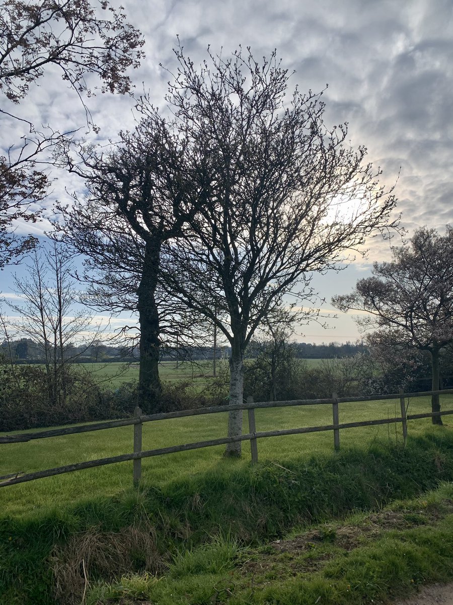 AnneBoydUK's tweet image. Make the most of your #Commutetime for an #alternativecommute. #freshair #healthywalk #greatstart