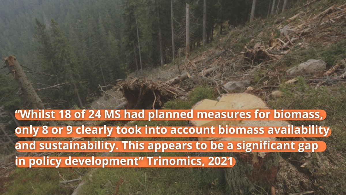 REVEALED: EU countries plan to burn MORE trees to reach their 2030 renewable energy targets.But they won’t disclose what impact this will have on nature or the climate. #Thread on the super worrying finding of a study we commissioned. @VSinkevicius  @KadriSimson  @TimmermansEU