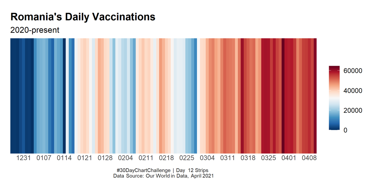 Ines Teacă tweet media