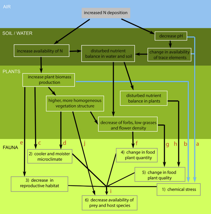 For a more detailed overview of all pathways for the effects of increased nitrogen deposition on fauna see https://www.natuurkennis.nl/Uploaded_files/Publicaties/nijssen-etal-2017.0b6d7c.pdf 8/