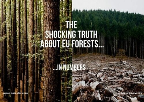 Why did we commission this study?We wanted to check what EU Member States intended to do with their destructive addiction to burning trees for energy, which is contributing to a spike in harvesting and turning healthy EU forests to bird less tree farms. https://www.fern.org/publications-insight/the-shocking-truth-about-eu-forests-in-numbers-2090/