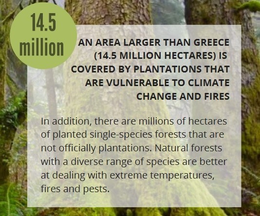 Why did we commission this study?We wanted to check what EU Member States intended to do with their destructive addiction to burning trees for energy, which is contributing to a spike in harvesting and turning healthy EU forests to bird less tree farms. https://www.fern.org/publications-insight/the-shocking-truth-about-eu-forests-in-numbers-2090/