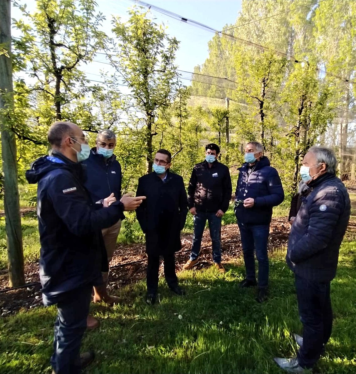 Ce matin, <a href="/JeromeDespey/">Jérôme Despey</a>, <a href="/PatrickVignal/">Patrick Vignal</a>, Philippe Py et Alain Hugues sont venus constater les dégâts du gel sur nos vergers de pruniers impactés à 100%.
Nous les remercions pour leur soutien et leur écoute dans ces moments difficiles.