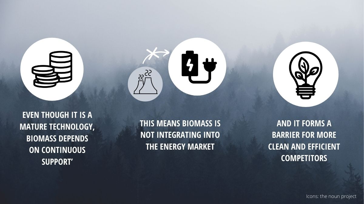 Second, this overreliance on bioenergy will limit growth potential for cleaner technologies, such as heat pumps or geothermal and despite ambition from industry to scale up their market penetration.