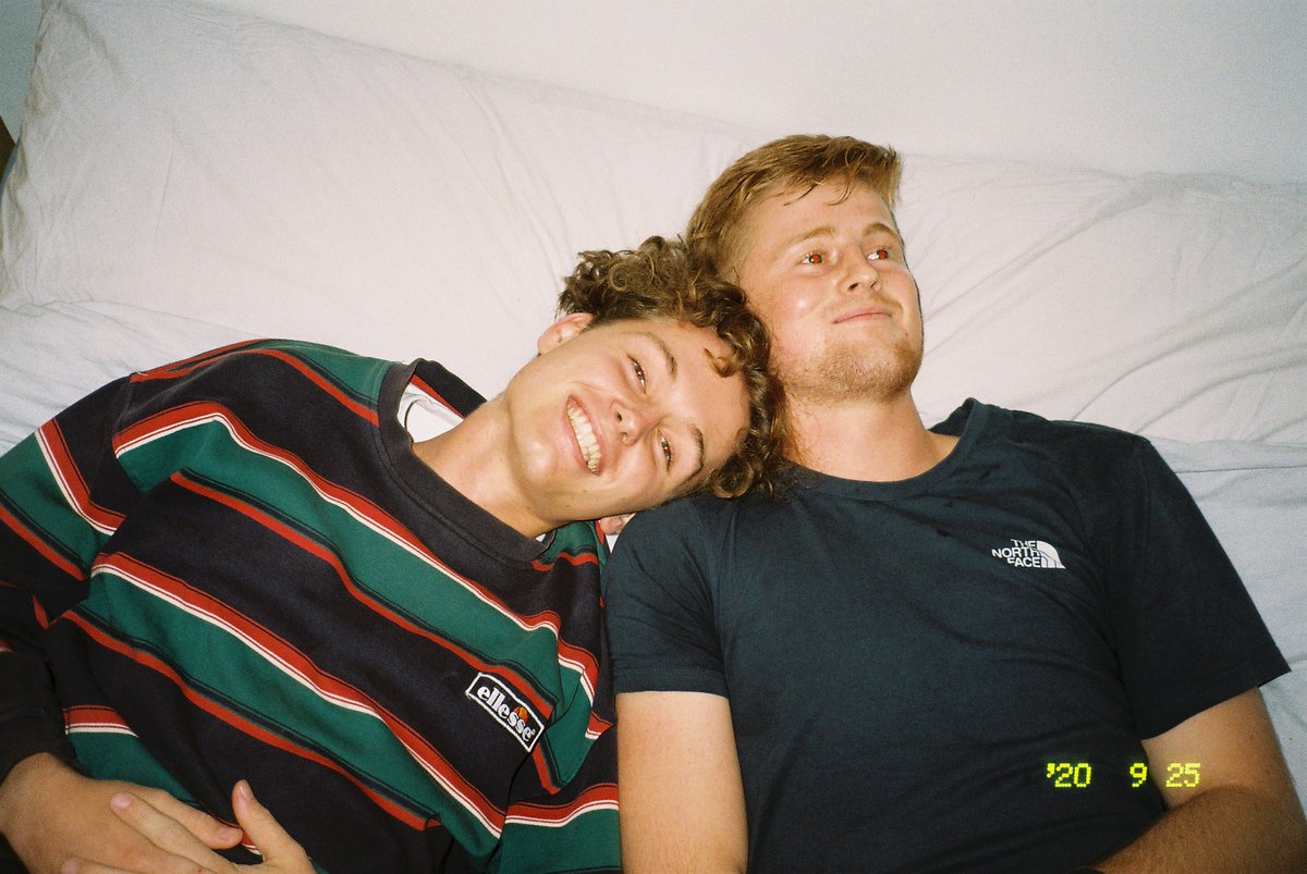 Still Pigeon tweet media