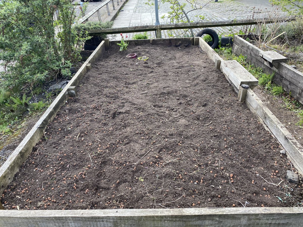 boxnumberten tweet media