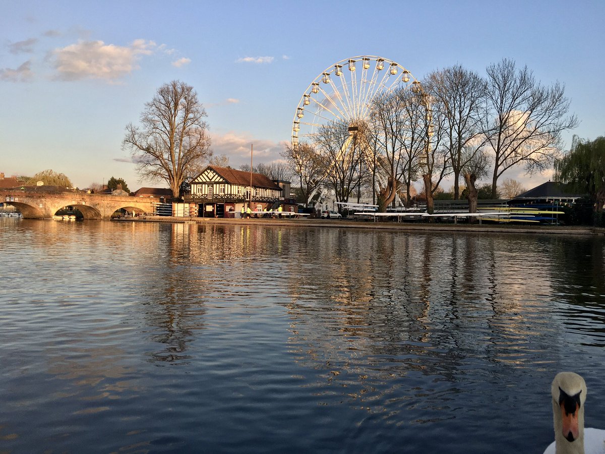 ALIENLODGE's tweet photo. Swan photobombed my picture #stratforduponavon #swan https://t.co/vHk1hnb7sL