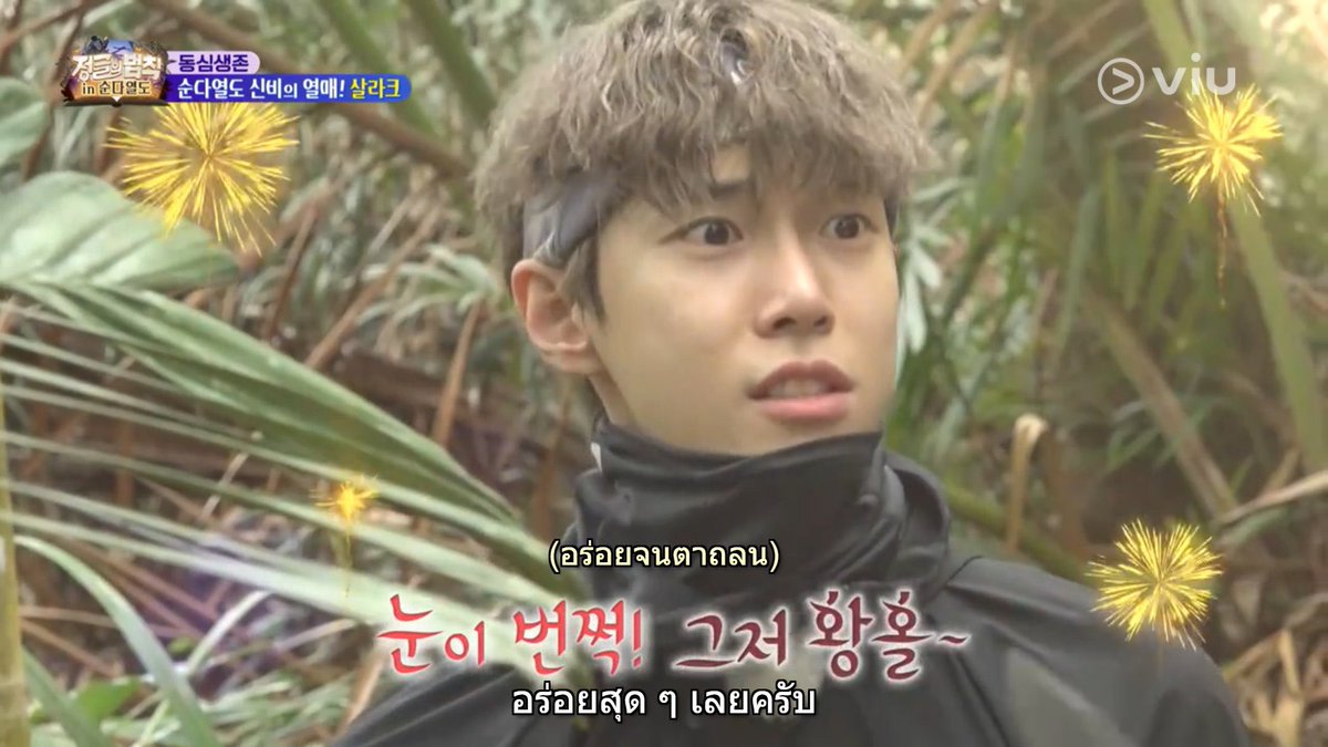 bemypeachjae's tweet image. ตอนโดยองไปเข้าป่าแล้วได้กินสละเป็นครั้งแรก โดยองบอกว่าถ้าไม่ได้เป็นไอดอลก็จะหาทางเอาสละเข้าไปขายในเกาหลีให้ได้ เออ หัวการค้ามาก จากไอดอลสู่พ่อค้าขายสละ55555555