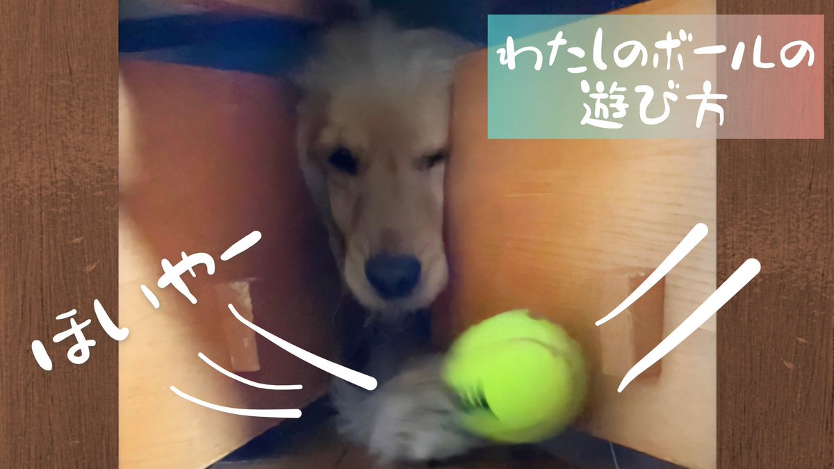はちみつクレヨン Hachi Cray Twitter はちみつクレヨン Hachi Cray Twitter