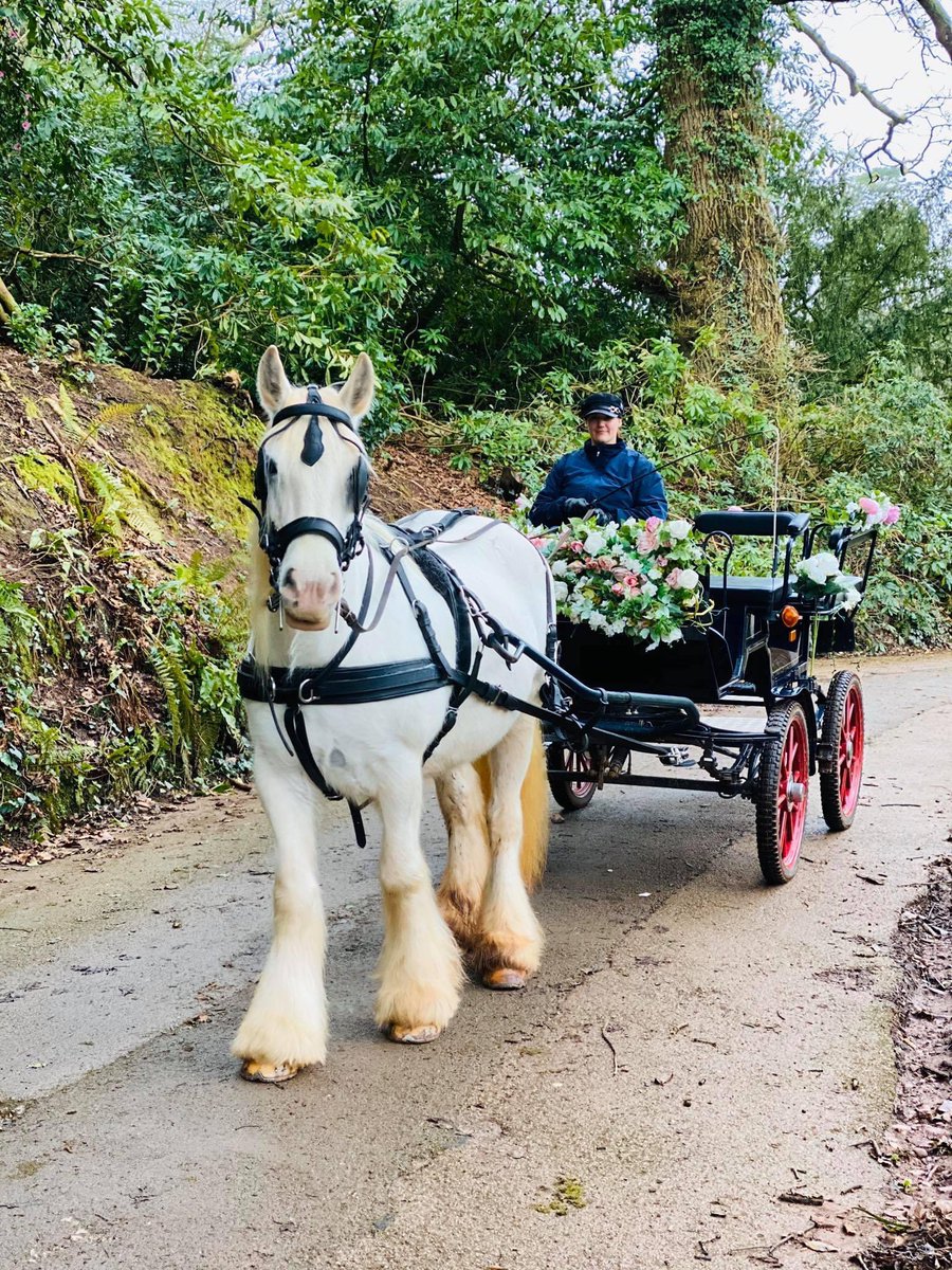 We are open for Carriage rides <a href="/CockingtonC/">Cockington Court</a> we are taken bookings up to the end of September 2021 <a href="/TorCoastCountry/">Torbay Coast & Countryside Trust</a> @BoostPositNews <a href="/Torbay_Hour/">#TorbayHour</a> <a href="/TinaCrowson/">Tina Crowson</a> @GuyHExpress <a href="/kevin_j_foster/">Kevin Foster</a> @GuyHExpress <a href="/supportwarhorse/">War Horse Memorial</a> <a href="/WhatsonSW/">What's On Southwest Magazine Est: 1996</a> <a href="/RivieraGeopark/">English Riviera UNESCO Global Geopark</a> <a href="/EnglishRiviera/">English Riviera</a> <a href="/CockingtonPark/">Cockington Park</a>