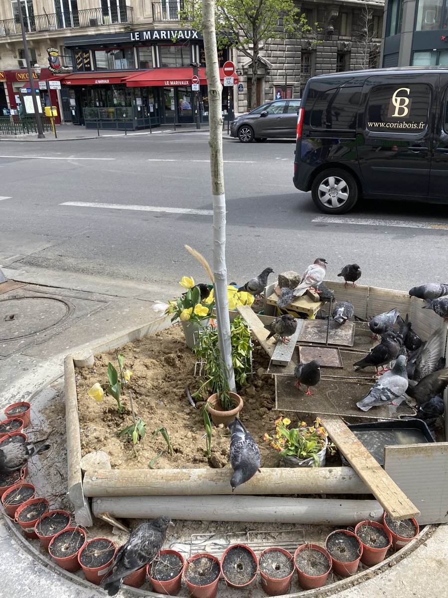 Uživatel nadine sonsino na Twitteru: „Bld des Italiens...#saccage paris  https://t.co/rt88cHmPCH“ / Twitter