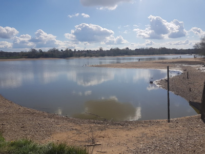 daysoutdiary's tweet photo. I've added a new walk. A short walk around Earlswood Lakes in Worcestershire:

https://t.co/gIkQqCdL5A 

Water levels are currently low due to work by @CanalRiverTrust but still a nice place to explore. https://t.co/ybLbxfh01n