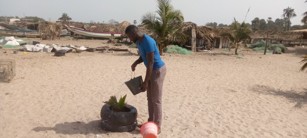 Sulayman Bojang tweet media