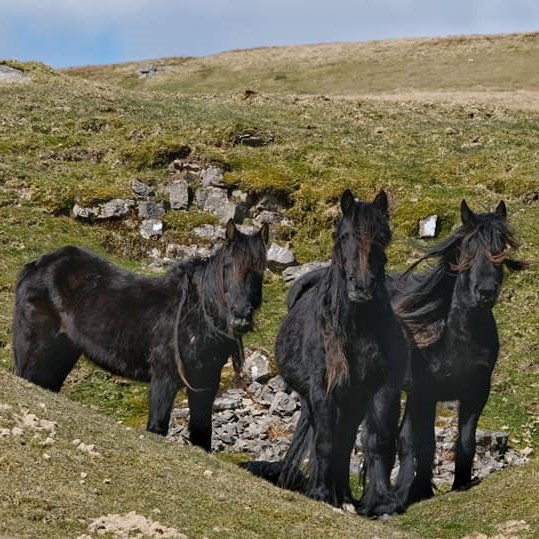 A picture by Clive Hicks taken around High Cup Nick and Dufton and shared in our Facebook group 'I Love Eden Valley'.