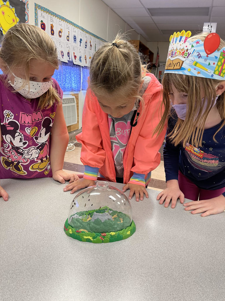 USD 322 Onaga tweet media