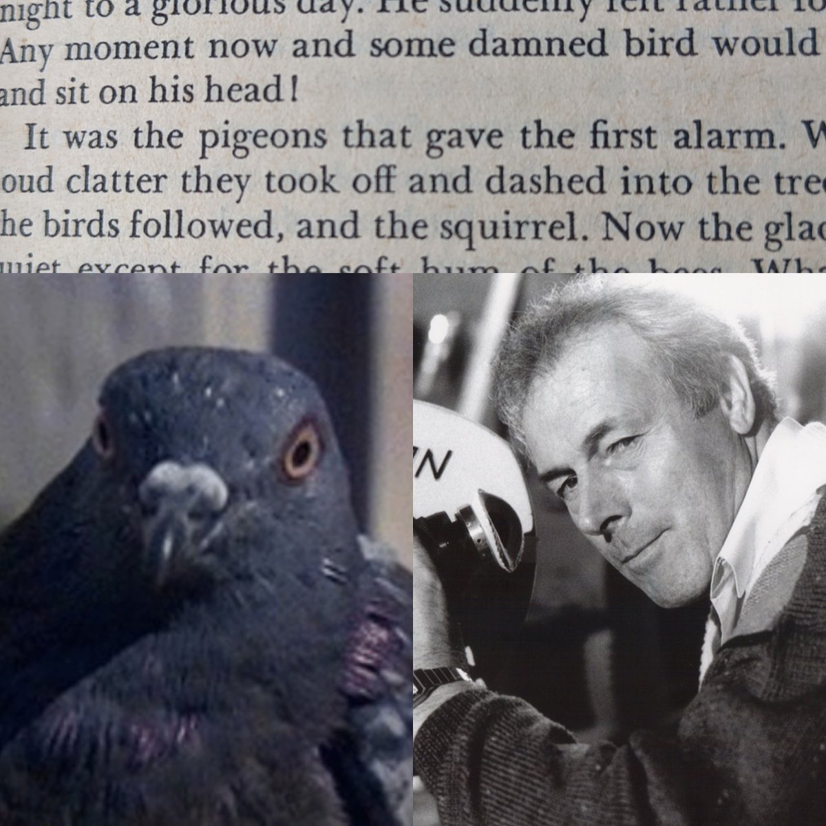 LicenceToQueer's tweet photo. So that's where John Glen got the idea from!
Directly from Fleming (the For Your Eyes Only short story)! (Although it's probably just coincidence.)
#ForYourEyesOnly #FlemingReadingChallenge #JohnGlen #pigeon #octopussy #aviewtoakill #thelivingdaylights #licencetokill #moonraker https://t.co/XPKT22hsqX