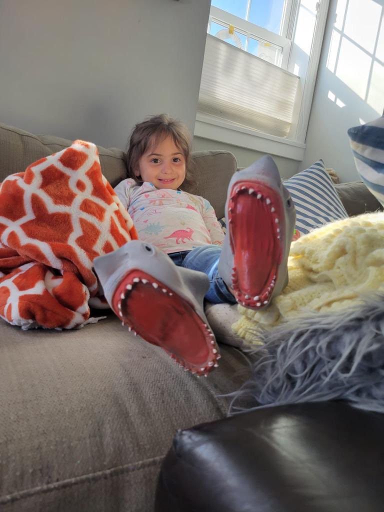 thespicyshark's tweet photo. Our shark hand puppets are missing. Have you seen them? 🦈 🦈
#treehousetoys #babyshark #shark #sharks #sharkfan #sharklover #sharkloversunite #sharksarefriends #portsmouth #porstmouthnh #nh #thespicyshark https://t.co/AMQV4275AE