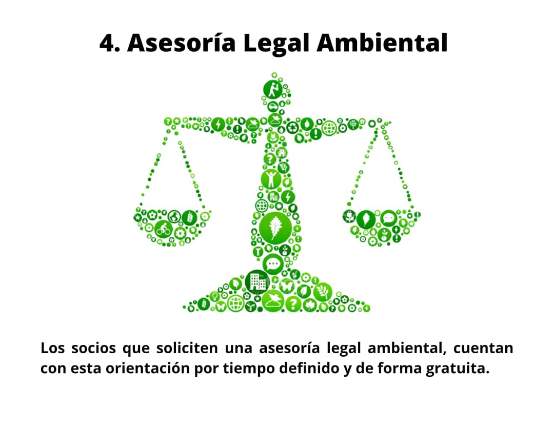 CiamGuayas's tweet photo. BENEFICIOS ♻️🟢🍃🌳🙌🏻💚
SÉ PARTE DEL CIAM GUAYAS!!! 💙🤍💙
Inscripciones Abiertas 📝👷🏻‍♂️👷🏻‍♀️ https://t.co/7StgMsVQXF