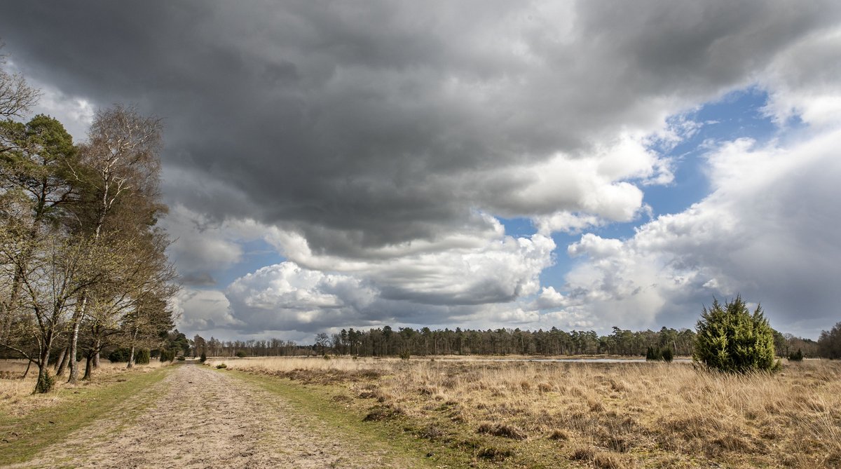 mariusvisser's tweet photo. https://t.co/t2ahBFMcrz Wandeling in het Dwingelderveld, met fraaie wolken https://t.co/PSJQwG8R8T