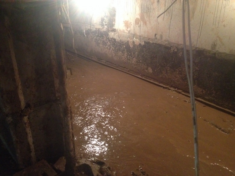 Подвал затоплен мкд. Затопление подвала мкд. Затопленный подвал многоквартирного дома. Затопление подвала. Канализация затопила подвал.