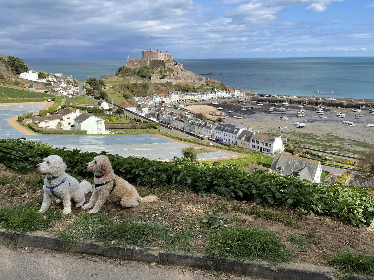 GuideJersey's tweet image. #sun out+covid numbers falling+jersey borders opening soon = @jerseyuncovered guides ready to welcome you back. Kary &amp;amp; I doing prep for our ‘Gorey -Village to Castle’ tour, assisted by the #Jerseyuncovered hounds! What’s not to love about these views  #jerseyuncoveredtours
